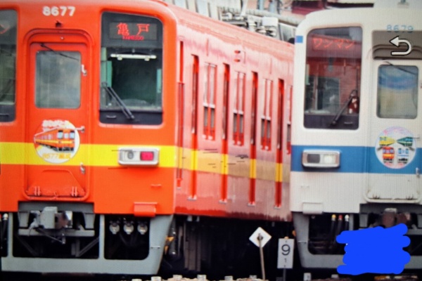 湘南色の部屋（Shonan-color train）