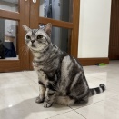 ぱずたん１４歳になりました