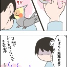 発情期のニュークスィー