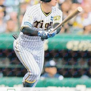 野球の記録で話したい