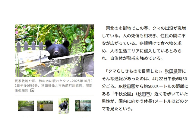 【悲報】クマ、去年の4倍