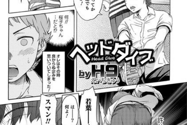 とどめのtorrent H9