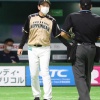 日ハム栗山監督「オレは一番気になる外国人選手ってレアードなんだ」