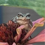 庭の生き物を愛でてます