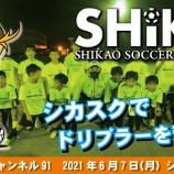 『シカチャンネル91』の画像