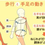 コートサイドの物置小屋
