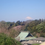 果樹と野菜の栽培時々釣り、横須賀(新)