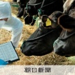 【兵庫県農業共済組合】女性獣医師が過労自殺、労基署が労災認定　時間外労働急増が原因
