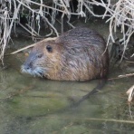 きららきらら☆