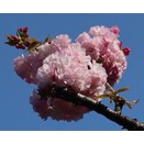 2026年2月26日の出来事