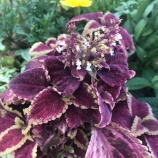 �ء�ī�Τ������ۺ��������Ƥ���ΤϿͤο��˰�ǫ�ȴ�˾��⤿�餹�ֿͤȤĤʤ��äƤ��봶�ס����δ������顢���ĻԵĲ�9�������ΰ��̼����Ԥ��ޤ����٤β���