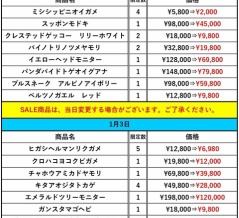 あけましておめでとうございます！年始セール情報！！