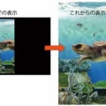 情報リテラシー論　第九回　様々な動画とネット生配信
