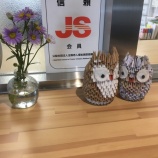 『癒されます(*´∇｀*)』の画像