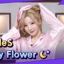 tripleS Baby Flower / MUPLY