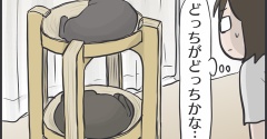 毎日が発見ネット掲載のお知らせ「黒猫の見分け」