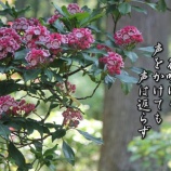 『令和7年度小島ゆかり短歌実作講座最終回』の画像