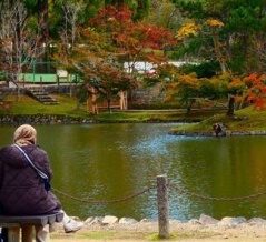 欺瞞に満ちた日本介護支援専門員協会の自画自賛
