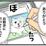 ちーちゃんっ🐾