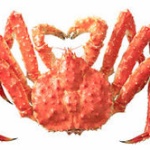 未来人くん（８）、カニ好きのおばあちゃんのために「カニむきロボット」を発案