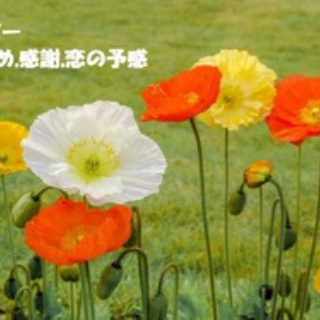 田舎記者の手帳