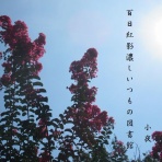 小夜衣 　（五七五ブログ）