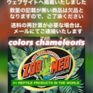 パンサーカメレオン飼育用品購入についてのお知らせとお願い。カメレオン飼育・繁殖・UVB・爬虫類用サプリメント