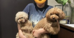 姪家族と癒しパワー