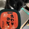 ワークアウト前の和食朝ごはん