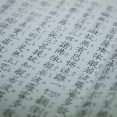 隣接する寺がうちの更地を勝手に駐車場として利用している。さらに移動式の階段を置くなど年々悪化。しまいには・・・