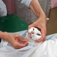 ノリちゃん　お前もか！