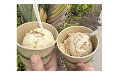 『今日は何ていう日なのよ。過ぎ世現世紡ぐ糸MM504』の画像