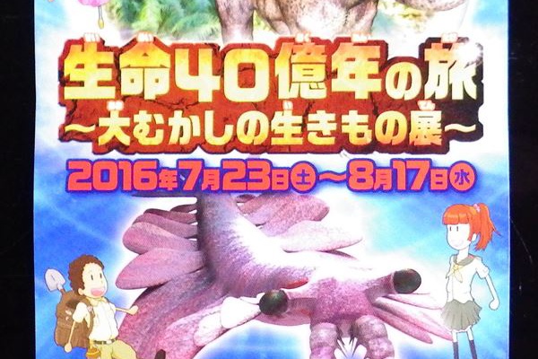 新 南米黄金街道 16年06月