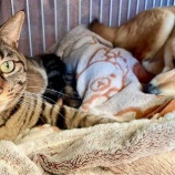 『ちょっと〜』の画像