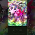 虹の滴に映る微笑 Radiant Smile