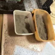 衣替えをして古着を売りに行こうと思ったら・・・