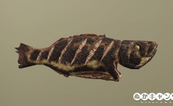 魚のグリル