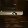 ヘビを掴まえようとしてた近所のキツネ