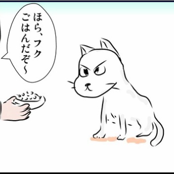 飼い猫にも好き嫌いがあると知った日