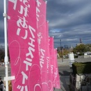 ナイスハートふれあいフェステバル2025