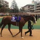 『スワンステークス2024　予想見解』の画像