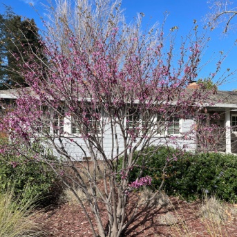 主治医のメールで落ち込む