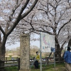 気の向くままに、言いたい放題