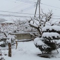 朝起きたら予想以上の大雪（太田市）