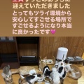 【しまねこプロジェクト】全員譲渡完了