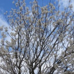 大和路ぶらぶら