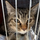 今年最初の譲渡会を開催しました🐾