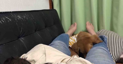 メンテナンスの日。