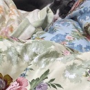 さりげなくこっちを見ている猫