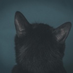 心霊-都市伝説ナビ-